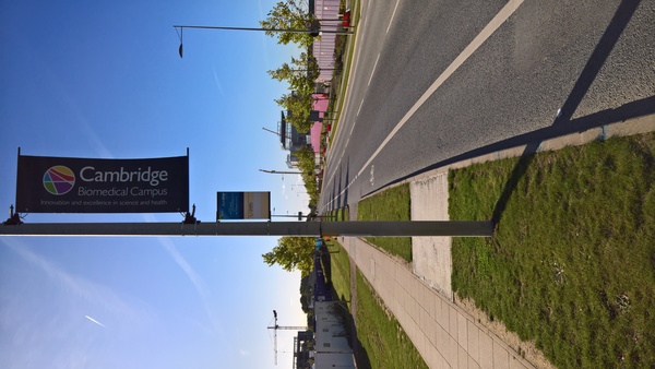 The photo for New bus stop(s) on Addenbrookes site.